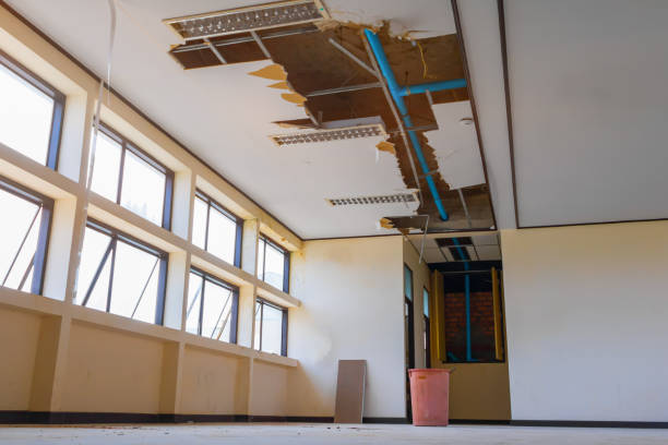 Best Local water damage restoration  in Abbeville, SC