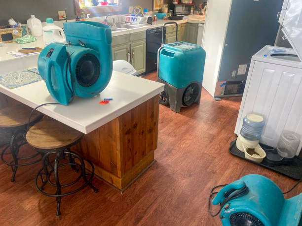 Best Water damage restoration company  in Abbeville, SC
