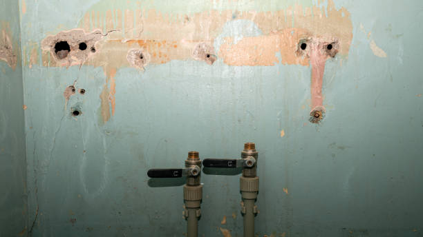 Best Water damage cleanup near me  in Abbeville, SC