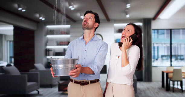 Best Commercial water damage restoration  in Abbeville, SC